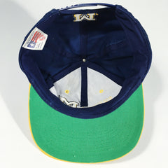 Michigan Wolverines Snapback