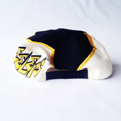 Steelers Drew Pearson Snapback
