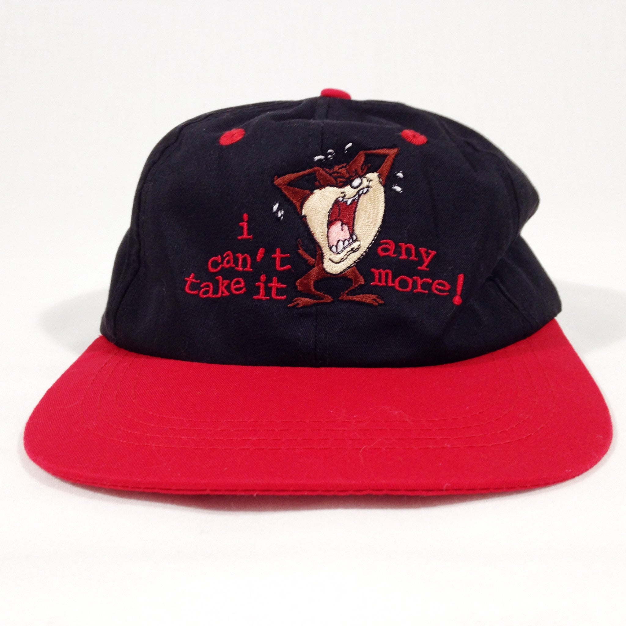 Taz 1995 Looney Tunes Strapback