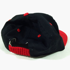 Taz 1995 Looney Tunes Strapback