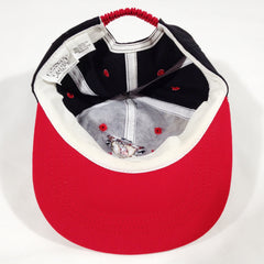 Taz 1995 Looney Tunes Strapback
